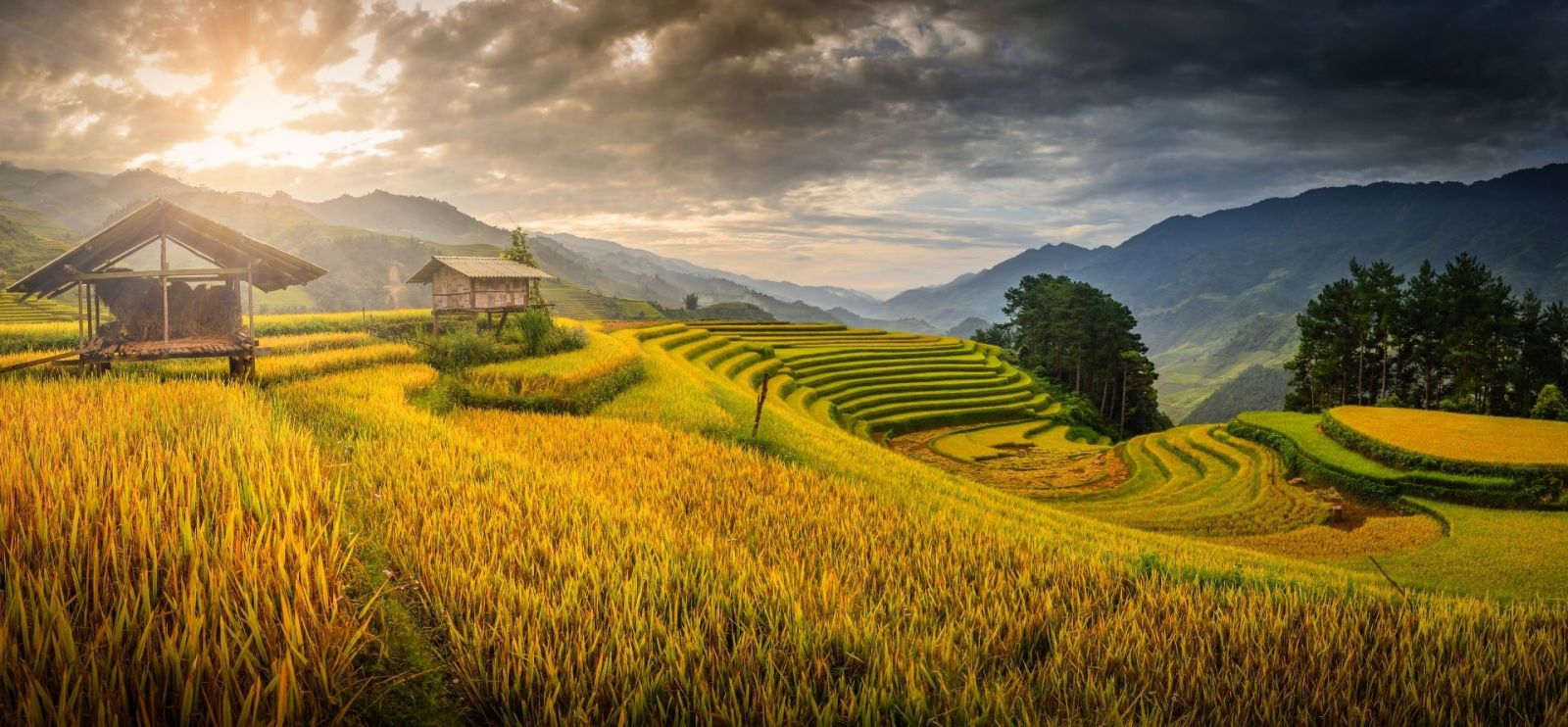 Thỏa sức du lịch